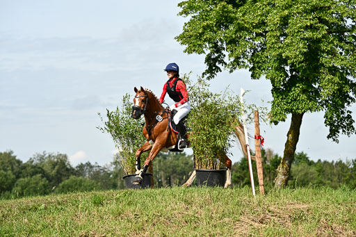 Goldene Schärpe Ponys in Löningen 2026 | 06062026 Gelände 1 Abt_0655 