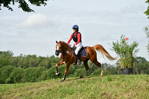 Goldene Schärpe Ponys in Löningen 2026 | 06062026 Gelände 1 Abt_0656 