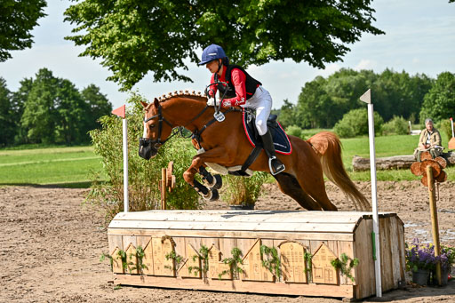Goldene Schärpe Ponys in Löningen 2026 | 06062026 Gelände 1 Abt_0658 