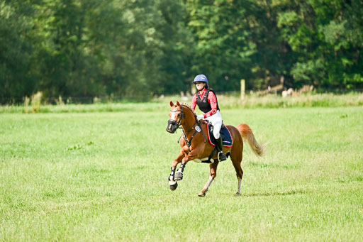 Goldene Schärpe Ponys in Löningen 2026 | 06062026 Gelände 1 Abt_0659 