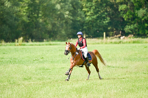 Goldene Schärpe Ponys in Löningen 2026 | 06062026 Gelände 1 Abt_0660 