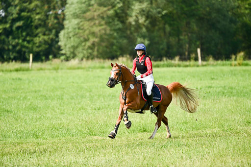 Goldene Schärpe Ponys in Löningen 2026 | 06062026 Gelände 1 Abt_0661 