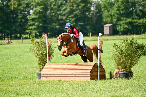 Goldene Schärpe Ponys in Löningen 2026 | 06062026 Gelände 1 Abt_0662 