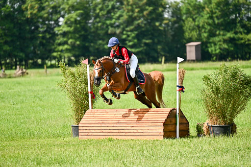 Goldene Schärpe Ponys in Löningen 2026 | 06062026 Gelände 1 Abt_0663 
