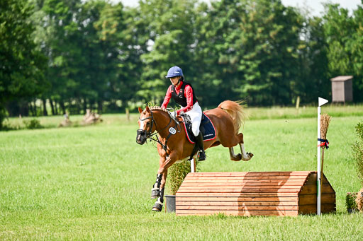 Goldene Schärpe Ponys in Löningen 2026 | 06062026 Gelände 1 Abt_0664 