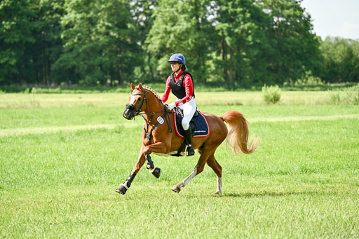 Goldene Schärpe Ponys in Löningen 2026 | 06062026 Gelände 1 Abt_0665 