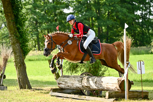 Goldene Schärpe Ponys in Löningen 2026 | 06062026 Gelände 1 Abt_0667 
