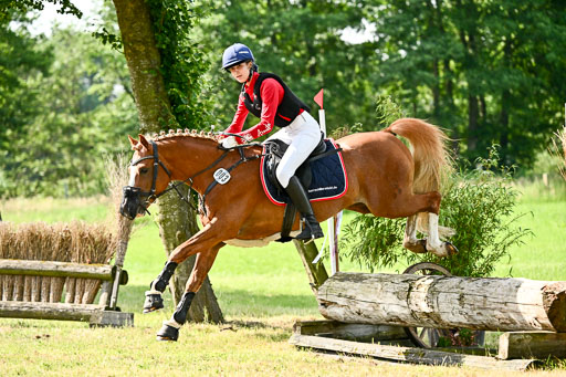 Goldene Schärpe Ponys in Löningen 2026 | 06062026 Gelände 1 Abt_0668 