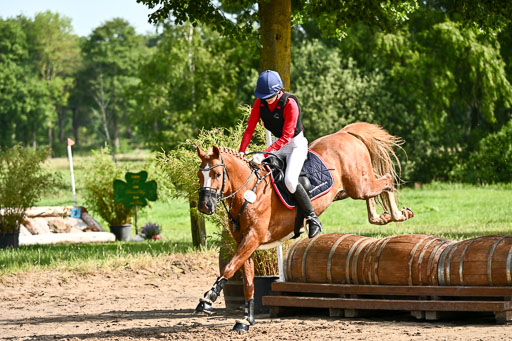 Goldene Schärpe Ponys in Löningen 2026 | 06062026 Gelände 1 Abt_0675 