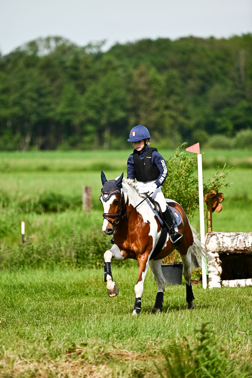 Goldene Schärpe Ponys in Löningen 2026 | 06062026 Gelände 1 Abt_0680 