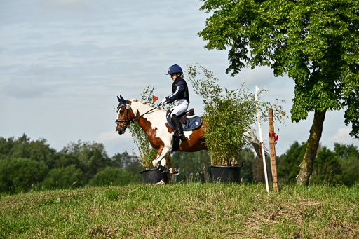 Goldene Schärpe Ponys in Löningen 2026 | 06062026 Gelände 1 Abt_0681 