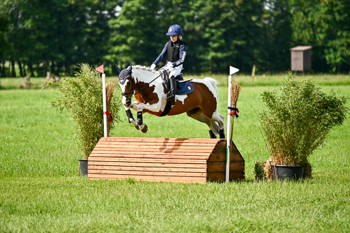 Goldene Schärpe Ponys in Löningen 2026 | 06062026 Gelände 1 Abt_0688 