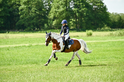 Goldene Schärpe Ponys in Löningen 2026 | 06062026 Gelände 1 Abt_0691 