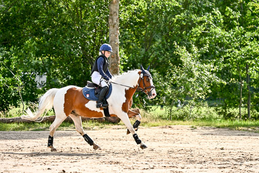 Goldene Schärpe Ponys in Löningen 2026 | 06062026 Gelände 1 Abt_0698 