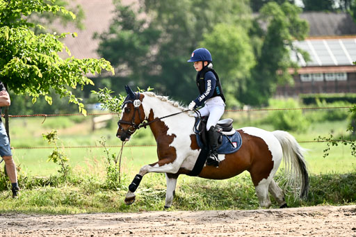 Goldene Schärpe Ponys in Löningen 2026 | 06062026 Gelände 1 Abt_0699 