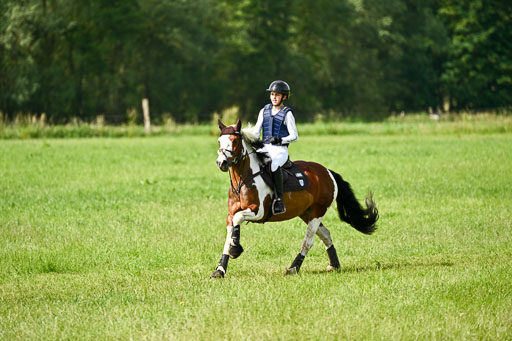 Goldene Schärpe Ponys in Löningen 2026 | 06062026 Gelände 1 Abt_0807 