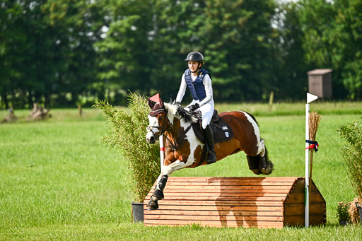 Goldene Schärpe Ponys in Löningen 2026 | 06062026 Gelände 1 Abt_0812 