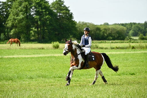 Goldene Schärpe Ponys in Löningen 2026 | 06062026 Gelände 1 Abt_0814 