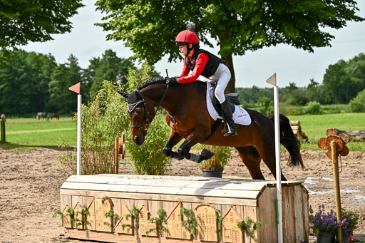 Goldene Schärpe Ponys in Löningen 2026 | 06062026 Gelände 1 Abt_0832 