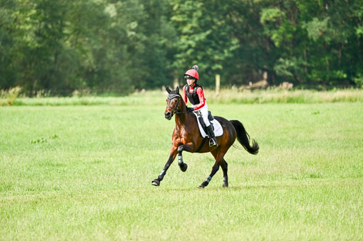 Goldene Schärpe Ponys in Löningen 2026 | 06062026 Gelände 1 Abt_0833 