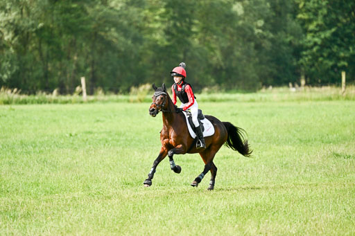 Goldene Schärpe Ponys in Löningen 2026 | 06062026 Gelände 1 Abt_0834 