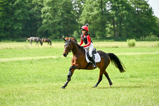 Goldene Schärpe Ponys in Löningen 2026 | 06062026 Gelände 1 Abt_0838 