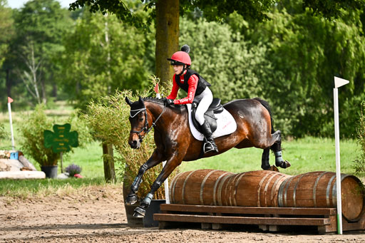 Goldene Schärpe Ponys in Löningen 2026 | 06062026 Gelände 1 Abt_0848 