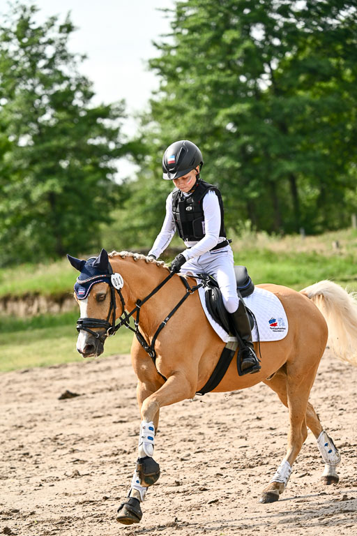 Goldene Schärpe Ponys in Löningen 2026 | 06062026 Gelände 1 Abt_0851 