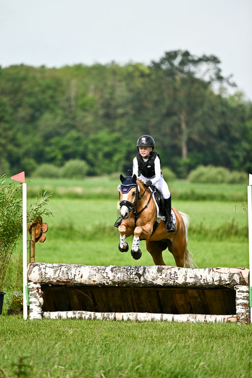 Goldene Schärpe Ponys in Löningen 2026 | 06062026 Gelände 1 Abt_0854 