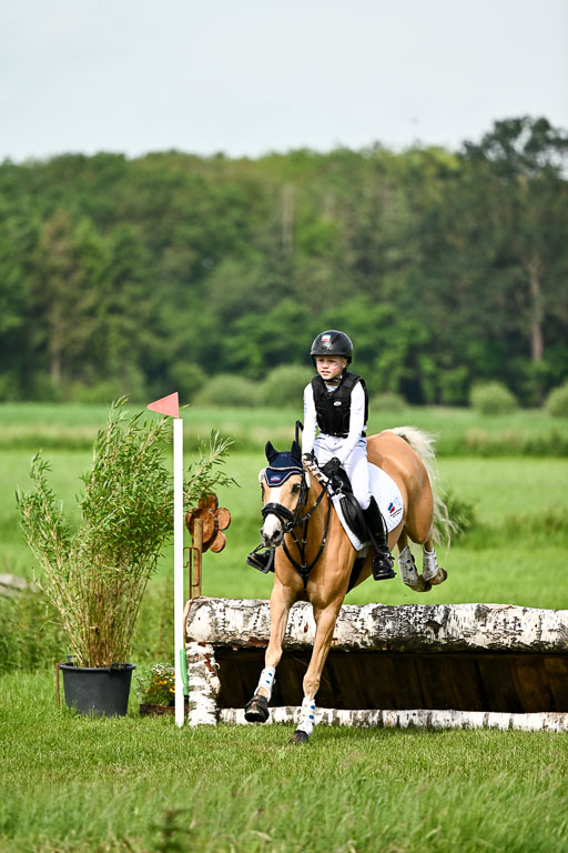 Goldene Schärpe Ponys in Löningen 2026 | 06062026 Gelände 1 Abt_0856 