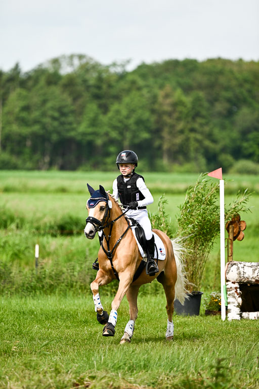 Goldene Schärpe Ponys in Löningen 2026 | 06062026 Gelände 1 Abt_0857 