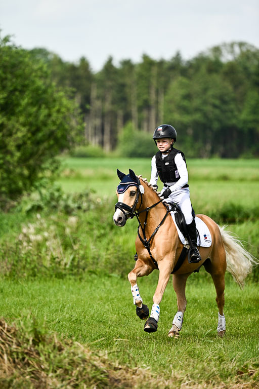 Goldene Schärpe Ponys in Löningen 2026 | 06062026 Gelände 1 Abt_0858 