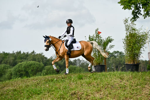 Goldene Schärpe Ponys in Löningen 2026 | 06062026 Gelände 1 Abt_0859 