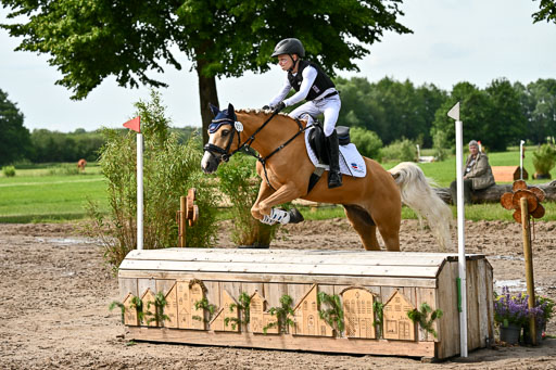 Goldene Schärpe Ponys in Löningen 2026 | 06062026 Gelände 1 Abt_0860 