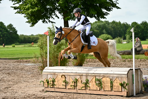 Goldene Schärpe Ponys in Löningen 2026 | 06062026 Gelände 1 Abt_0861 