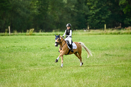 Goldene Schärpe Ponys in Löningen 2026 | 06062026 Gelände 1 Abt_0863 