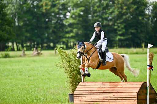 Goldene Schärpe Ponys in Löningen 2026 | 06062026 Gelände 1 Abt_0865 