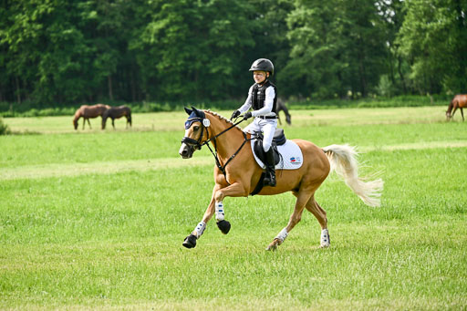 Goldene Schärpe Ponys in Löningen 2026 | 06062026 Gelände 1 Abt_0866 