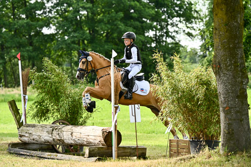 Goldene Schärpe Ponys in Löningen 2026 | 06062026 Gelände 1 Abt_0867 