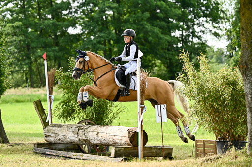 Goldene Schärpe Ponys in Löningen 2026 | 06062026 Gelände 1 Abt_0868 