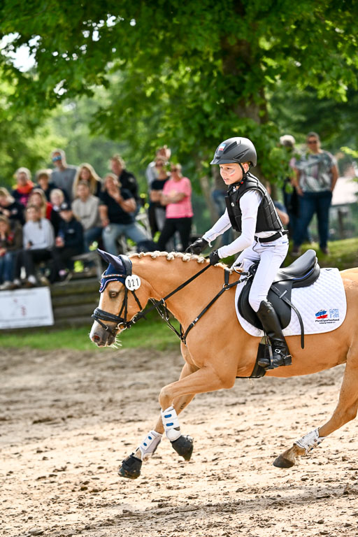 Goldene Schärpe Ponys in Löningen 2026 | 06062026 Gelände 1 Abt_0871 