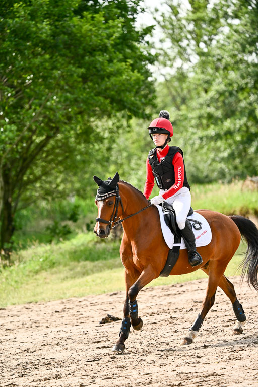 Goldene Schärpe Ponys in Löningen 2026 | 06062026 Gelände 1 Abt_0876 