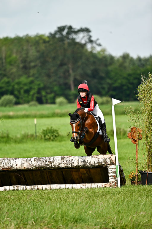Goldene Schärpe Ponys in Löningen 2026 | 06062026 Gelände 1 Abt_0878 