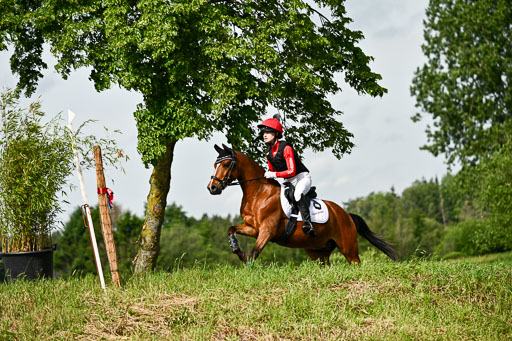 Goldene Schärpe Ponys in Löningen 2026 | 06062026 Gelände 1 Abt_0883 