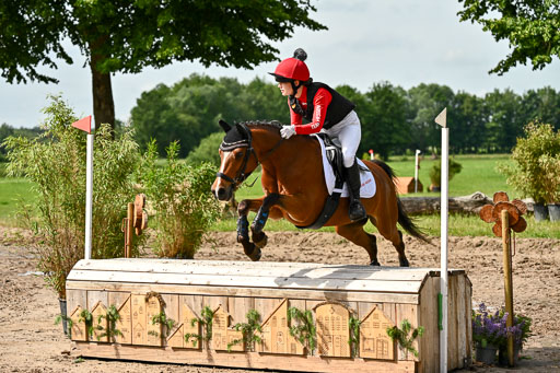 Goldene Schärpe Ponys in Löningen 2026 | 06062026 Gelände 1 Abt_0886 