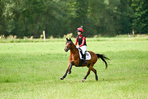 Goldene Schärpe Ponys in Löningen 2026 | 06062026 Gelände 1 Abt_0887 