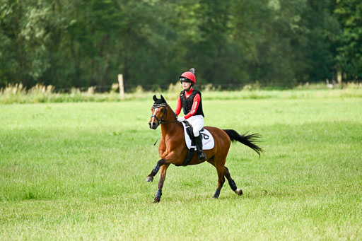 Goldene Schärpe Ponys in Löningen 2026 | 06062026 Gelände 1 Abt_0888 