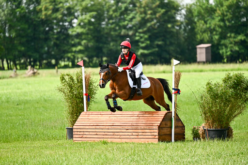 Goldene Schärpe Ponys in Löningen 2026 | 06062026 Gelände 1 Abt_0890 