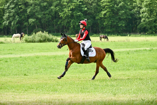 Goldene Schärpe Ponys in Löningen 2026 | 06062026 Gelände 1 Abt_0892 