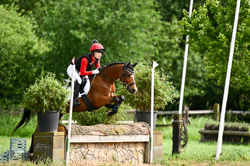 Goldene Schärpe Ponys in Löningen 2026 | 06062026 Gelände 1 Abt_0895 